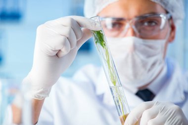 Laboratuvarda bilim adamıyla biyoteknoloji kavramı