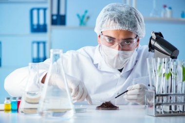 Erkek bilim adamı bir laboratuarda deney yapıyor.