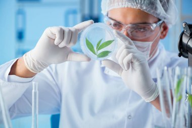 Erkek bilim adamı bir laboratuarda deney yapıyor.