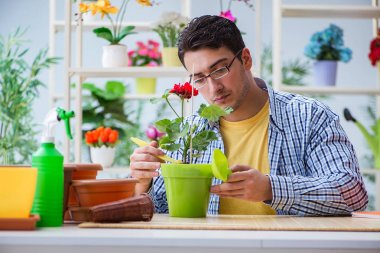 Çiçekçide çalışan genç bir adam.