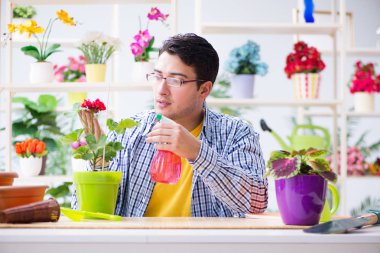 Bahçıvan çiçekçide çalışıyor. Çiçekçide çalışıyor.
