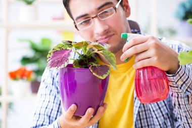 Bahçıvan çiçekçide çalışıyor. Çiçekçide çalışıyor.