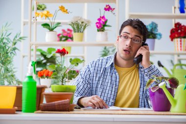 Çiçekçide çalışan genç bir adam.