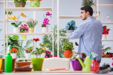 Çiçekçide çalışan genç bir adam.