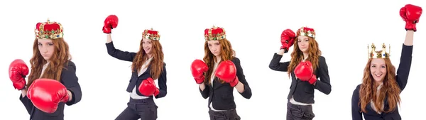 Reine boxer femme d'affaires isolée sur blanc — Photo