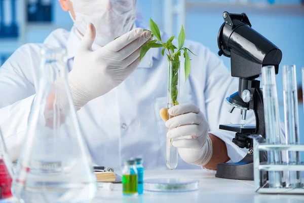 Biotechnologie-Konzept mit Wissenschaftlern im Labor — Stockfoto