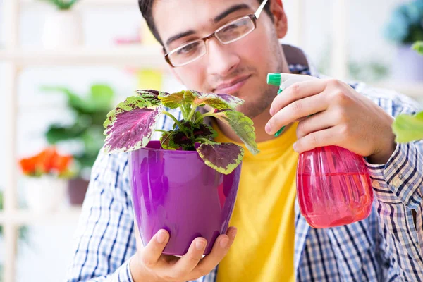 Bahçıvan çiçekçide çalışıyor. Çiçekçide çalışıyor.