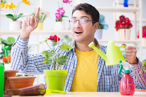 Bahçıvan çiçekçide çalışıyor. Çiçekçide çalışıyor.