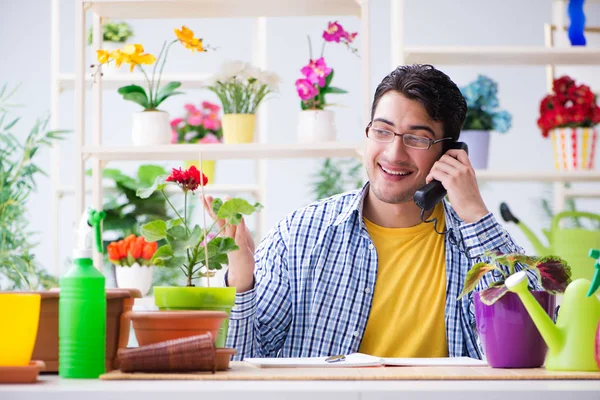 Bahçıvan çiçekçide çalışıyor. Çiçekçide çalışıyor.