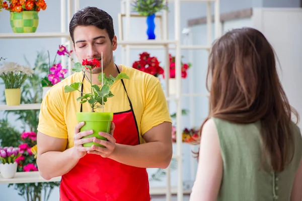 Çiçekçi dükkanında çiçek satıyor.