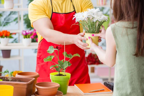 Çiçekçi dükkanında çiçek satıyor.