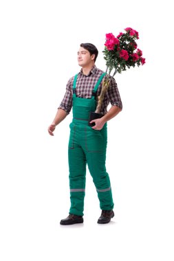 Genç bahçıvan beyazı izole etmiş.