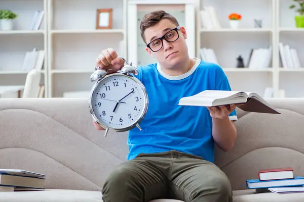 Sınavlara hazırlanan genç öğrenci kanepede ders çalışıyor.