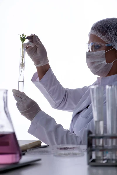 Investigadora científica que realiza un experimento en un labora — Foto de Stock