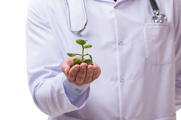 Scientist with green seedling in glass isolated on white