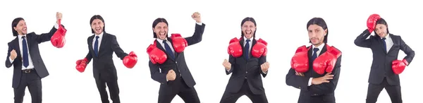 Geschäftsmann mit Boxhandschuhen auf weiß — Stockfoto