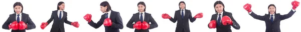 Homme d'affaires avec gants de boxe sur blanc — Photo