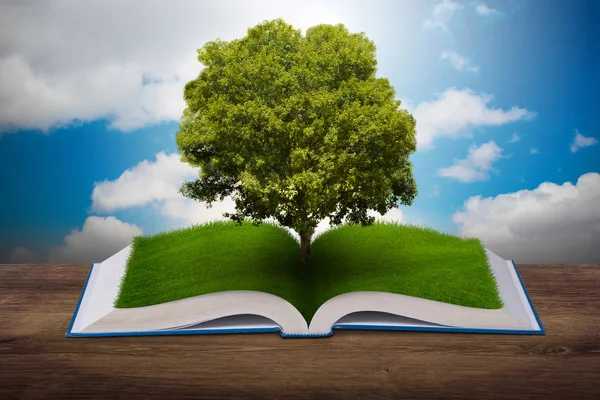 Open book in paper recycling concept - 3d rendering