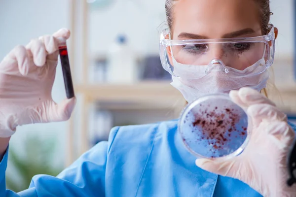 Pesquisadora cientista conduzindo uma experiência em um labora — Fotografia de Stock