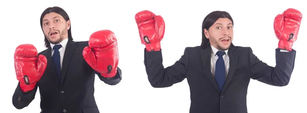 Empresario con guantes de boxeo en blanco — Stockfoto