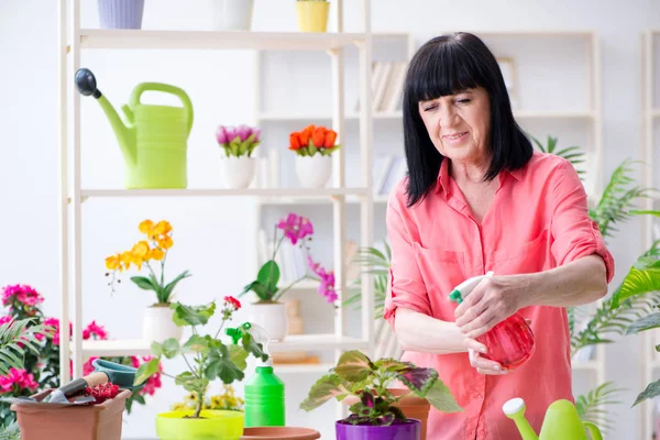 Çiçekçide çalışan kadın çiçekçi