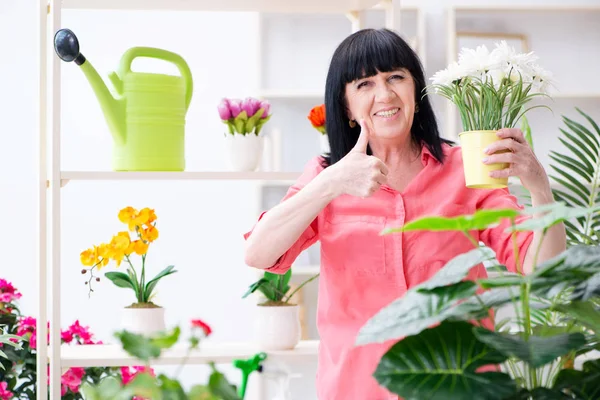 Çiçekçide çalışan kadın çiçekçi