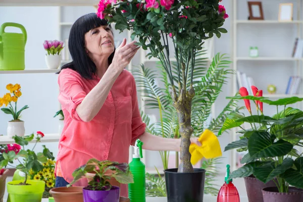 Цветочница, работающая в цветочном магазине — стоковое фото