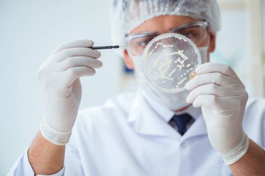 Bir laboratuarda deney yapan kadın bir bilim adamı.