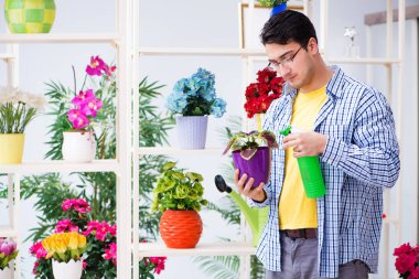 Bahçıvan çiçekçide çalışıyor. Çiçekçide çalışıyor.