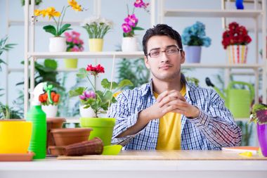 Bahçıvan çiçekçide çalışıyor. Çiçekçide çalışıyor.