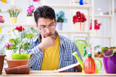 Bahçıvan çiçekçide çalışıyor. Çiçekçide çalışıyor.