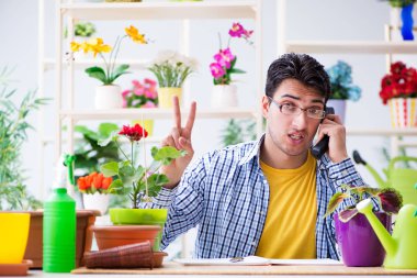 Bahçıvan çiçekçide çalışıyor. Çiçekçide çalışıyor.