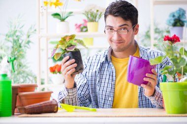 Bahçıvan çiçekçide çalışıyor. Çiçekçide çalışıyor.