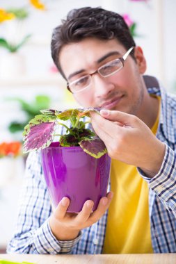 Bahçıvan çiçekçide çalışıyor. Çiçekçide çalışıyor.