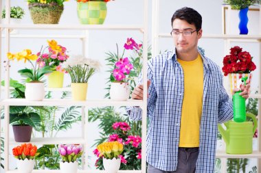 Bahçıvan çiçekçide çalışıyor. Çiçekçide çalışıyor.