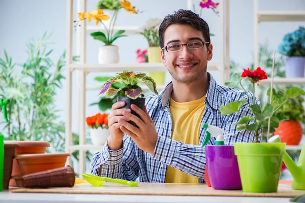 Çiçekçide çalışan genç bir adam.