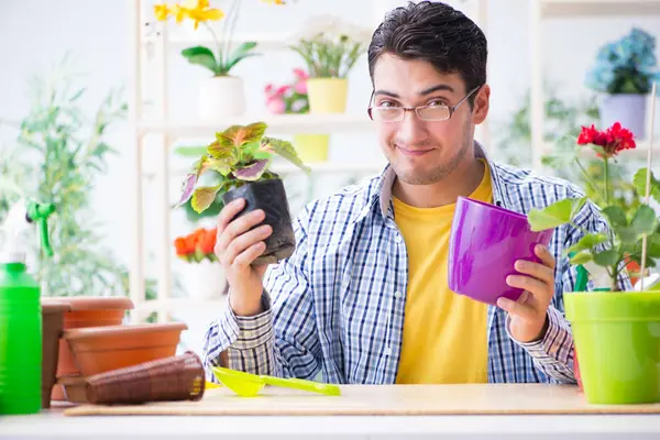 Bahçıvan çiçekçide çalışıyor. Çiçekçide çalışıyor.