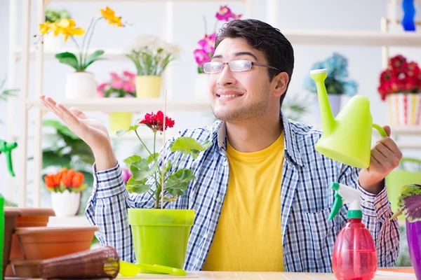 Bahçıvan çiçekçide çalışıyor. Çiçekçide çalışıyor.