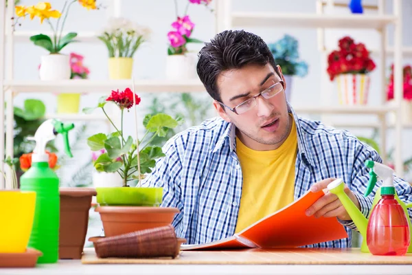 Bahçıvan çiçekçide çalışıyor. Çiçekçide çalışıyor.