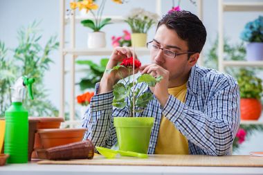 Çiçekçide çalışan genç bir adam.