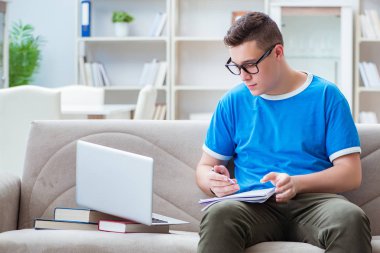 Sınavlara hazırlanan genç öğrenci kanepede ders çalışıyor.