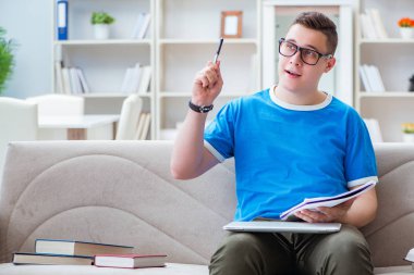 Sınavlara hazırlanan genç öğrenci kanepede ders çalışıyor.