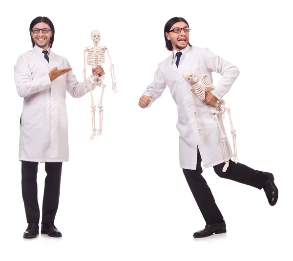白い上に隔離された骨格と面白い先生 — ストック写真