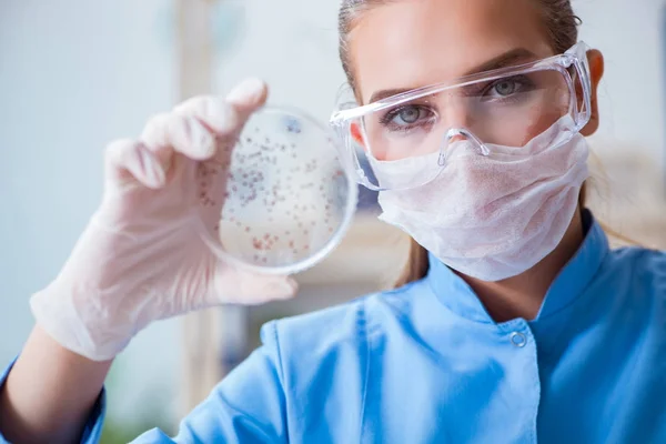 Investigadora científica que realiza un experimento en un labora —  Fotos de Stock