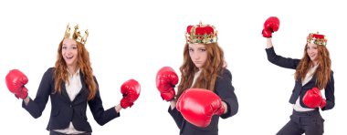 Kraliçe boksör işkadını beyaz izole