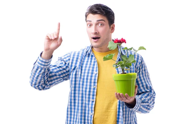 Florista jardinero con una flor en una maceta aislada sobre fondo blanco — Foto de Stock