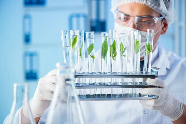 Biotechnologický koncept s vědcem v laboratoři — Stock fotografie
