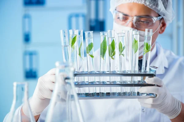 Concepto de biotecnología con científico en laboratorio —  Fotos de Stock