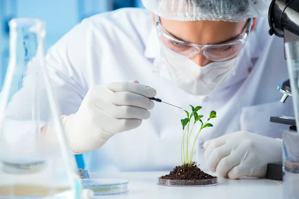 Concepto de biotecnología con científico en laboratorio —  Fotos de Stock