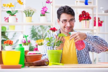Bahçıvan çiçekçide çalışıyor. Çiçekçide çalışıyor.